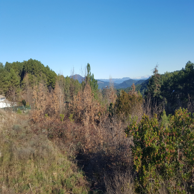 Offres de vente Terrain Bordezac (30160)